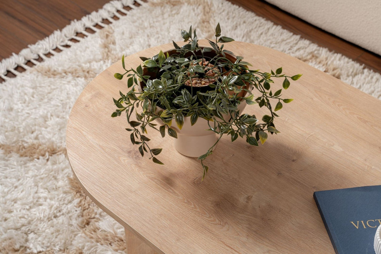 Ovaler Couchtisch Sapphire Eichenholzoptik Sabla - 119x60