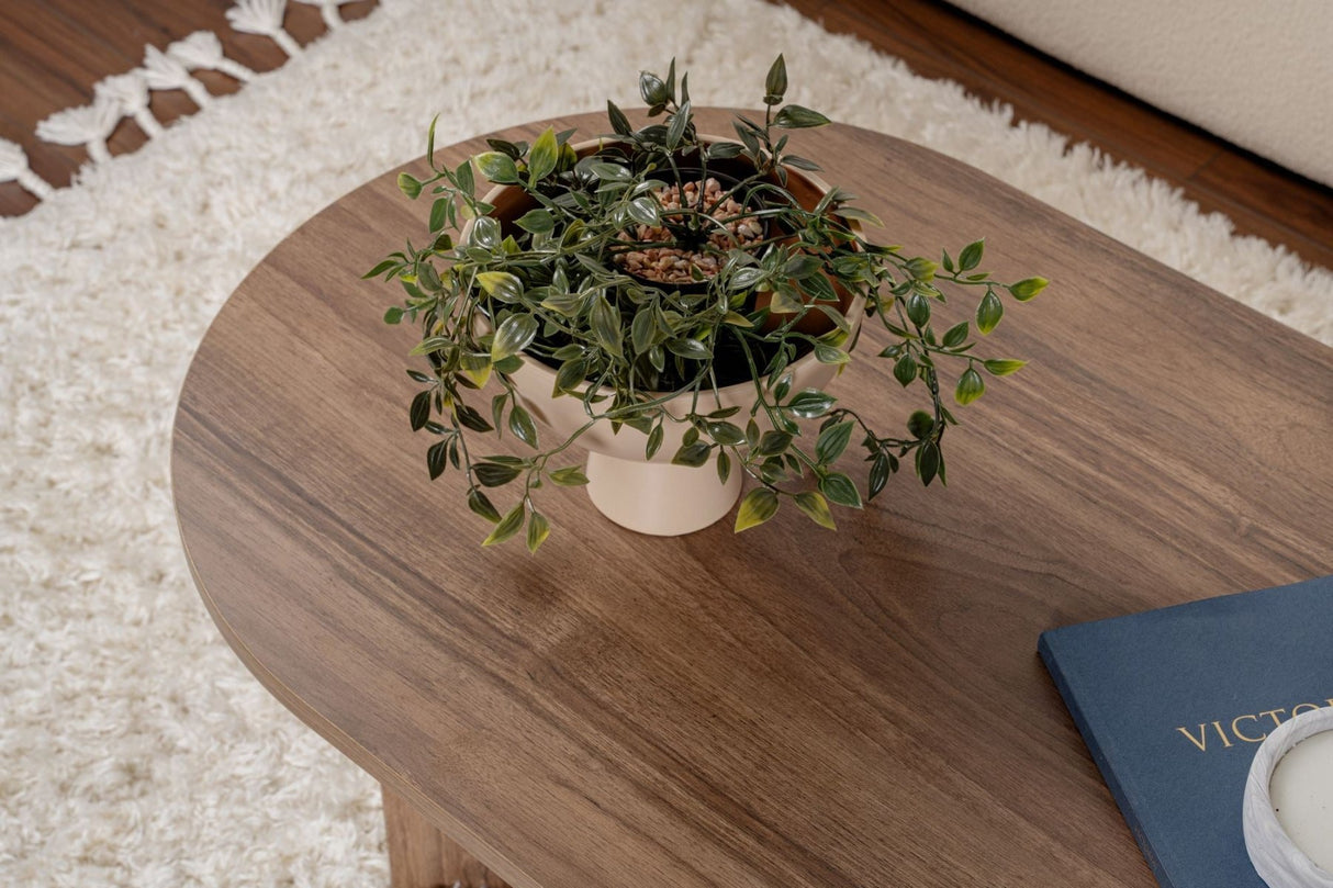 Ovaler Couchtisch Walnuss Look Sabla - 119x60