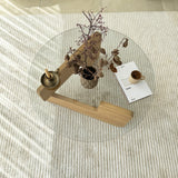 Runder Glas Mio Couchtisch - 75 cm - Holzgestell 