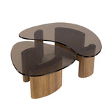 Organischer Couchtisch-Set Bronze Glas 2-teilig 