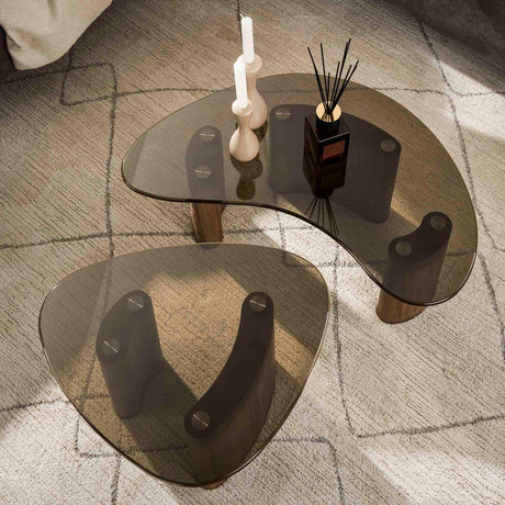 Organischer Couchtisch-Set Bronze Glas 2-teilig 