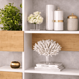 Bücherregal Niho White Oak Melamin 120x171x25.3 cm